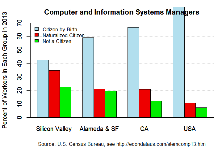 Composition of All Computer and Information Systems Managers in 2013